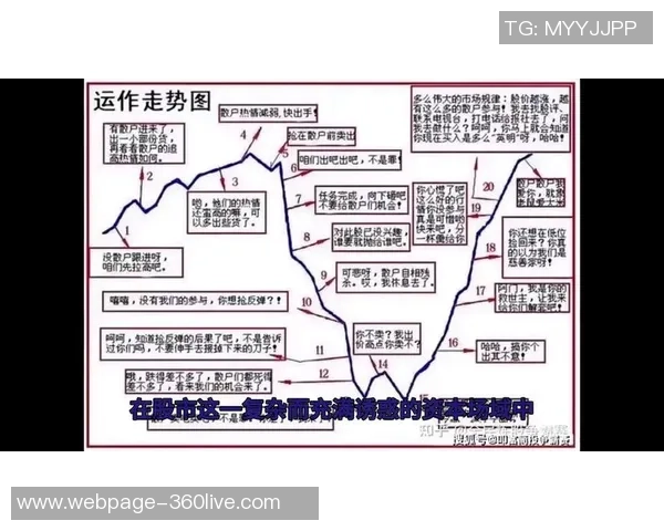 托尔斯与林菲尔德的激烈对决揭示足球战术的博弈与魅力